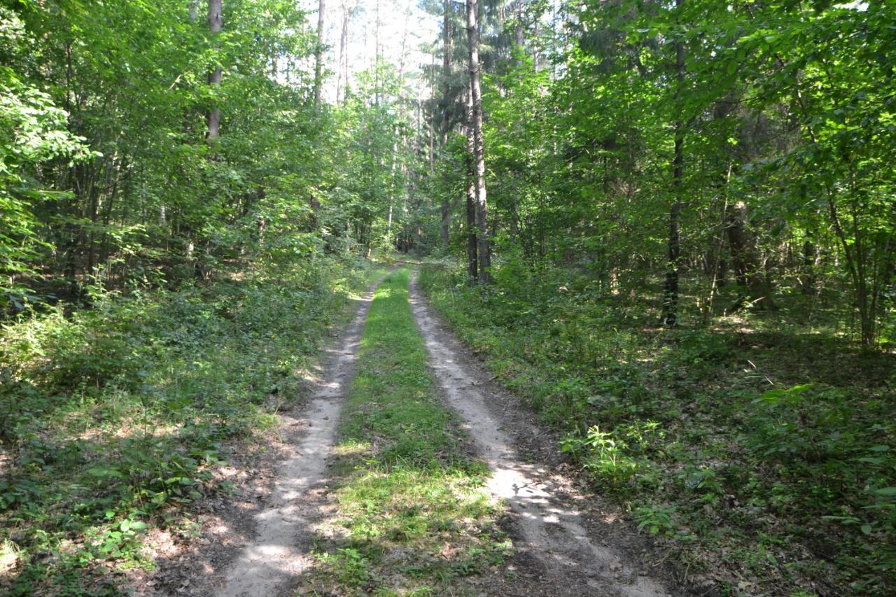 Osrodek Wypoczynkowo-Turystyczny Perla Krutyni Nowy Most Exterior foto