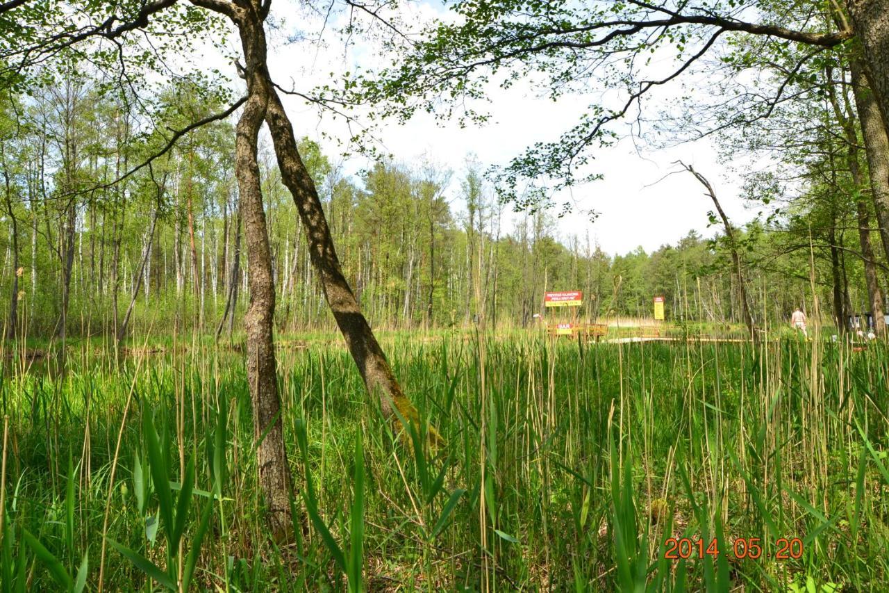 Osrodek Wypoczynkowo-Turystyczny Perla Krutyni Nowy Most Exterior foto